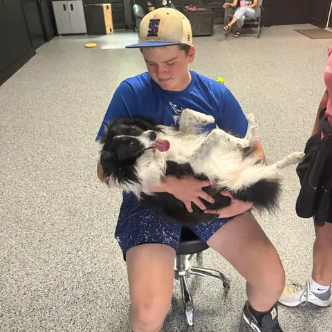 A young handler holding a black and white Australian shepherd in the training room