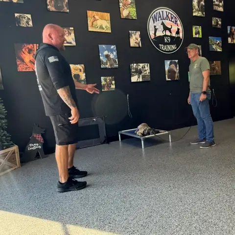 Chad Walker instructing beside a dog on a cot under the Walker K-9 Training sign