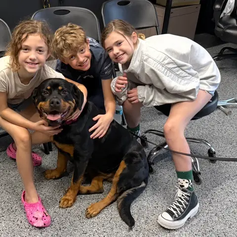 Three children kneeling around a black and tan rottweiler sitting calmly between them
