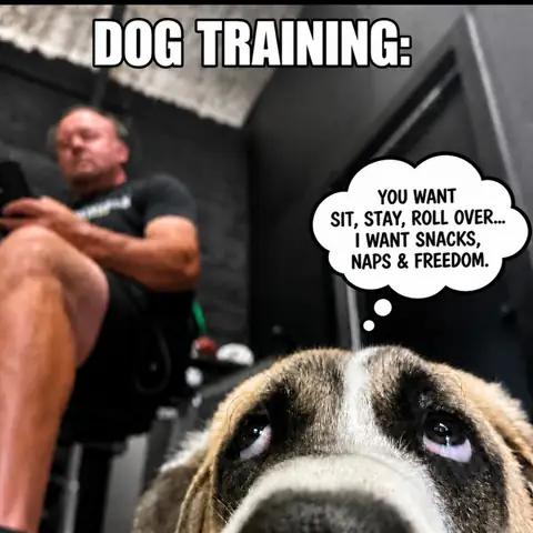 A Walker K-9 Training meme: a dog resting its chin on a mat, with a thought bubble reading “You want sit, stay, roll over… I want snacks, naps & freedom.”