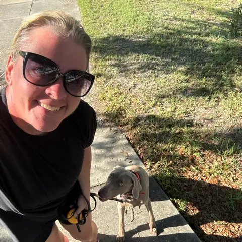 A handler walking a grey dog along a shaded neighbourhood verge