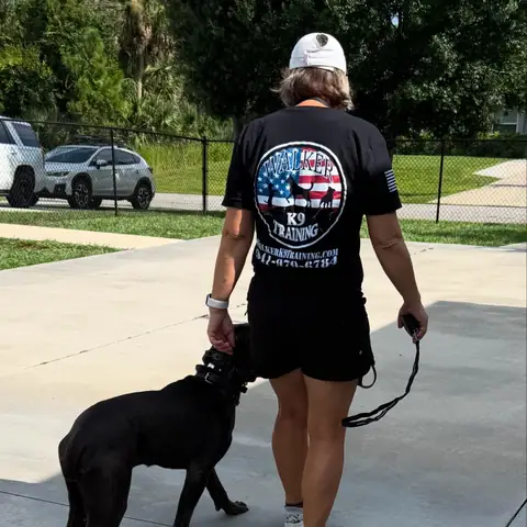A Walker K-9 Training handler walking a black dog at heel across a paved driveway