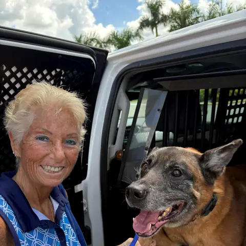 An owner greeting her grey-muzzled Belgian Malinois at the open door of the transport van