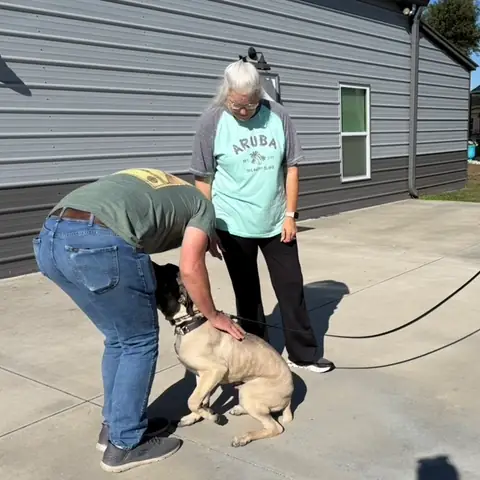 An owner greeting her tan dog outdoors while the trainer holds the long line