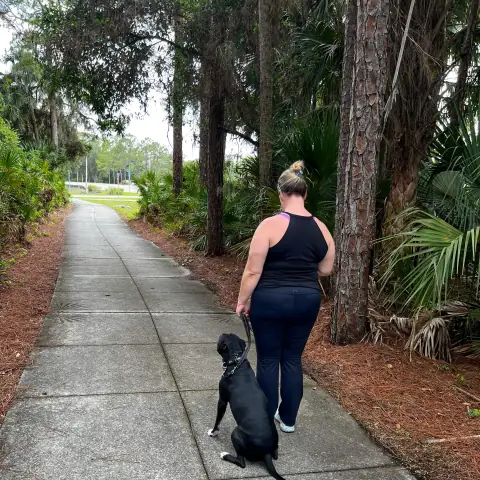 An owner walking her dog on a loose leash along a shaded neighborhood sidewalk