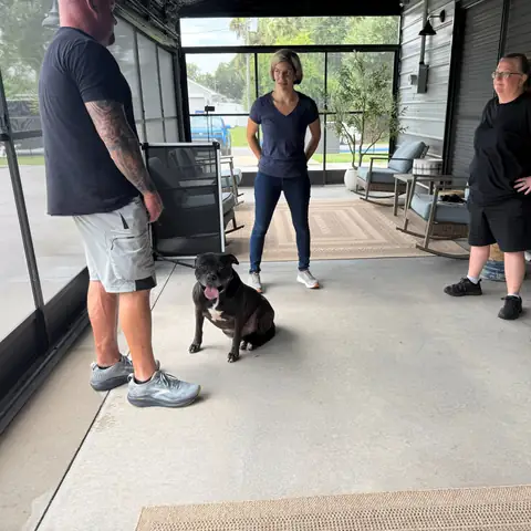 Owners gathered around a black dog during a handover session in the training room