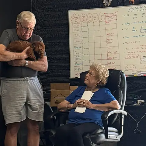 An owner holding his chocolate poodle beside the daily schedule board at pick-up