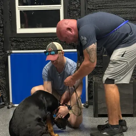 Two handlers settling a black and tan dog on the floor of the training room