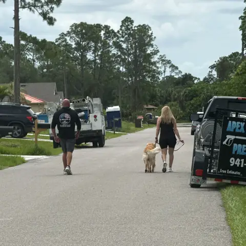 Two handlers walking dogs down a quiet residential street
